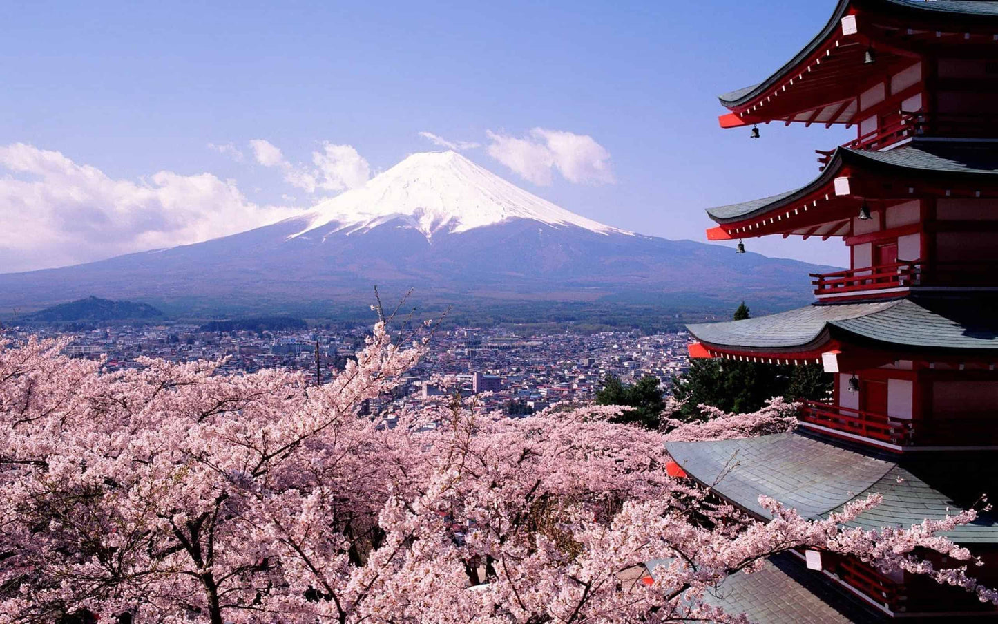 ๐ธ Japan Cherry Blossom Tour โ Itinerary