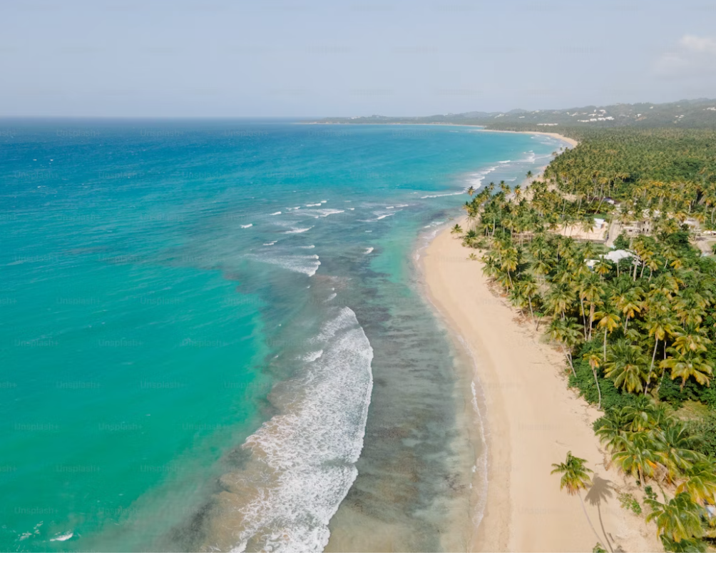🏝️ Tea Trails to Ocean Tales – Sri Lanka Awaits
