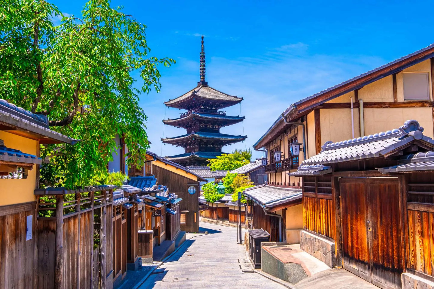 🌸 Japan Cherry Blossom Tour – Itinerary