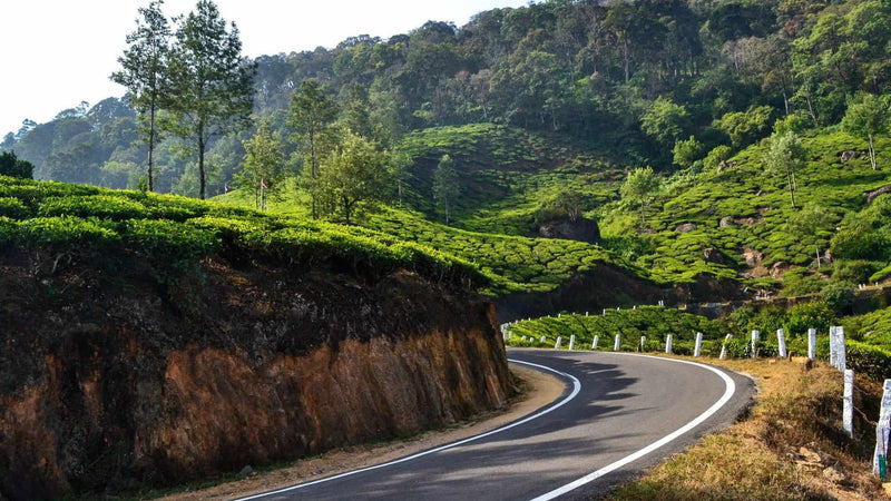Kerala