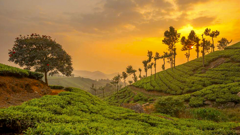 Kerala