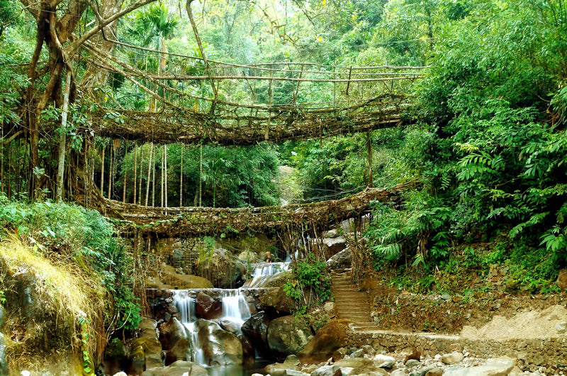 Meghalaya