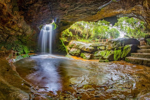Mystical Northeast Trail
