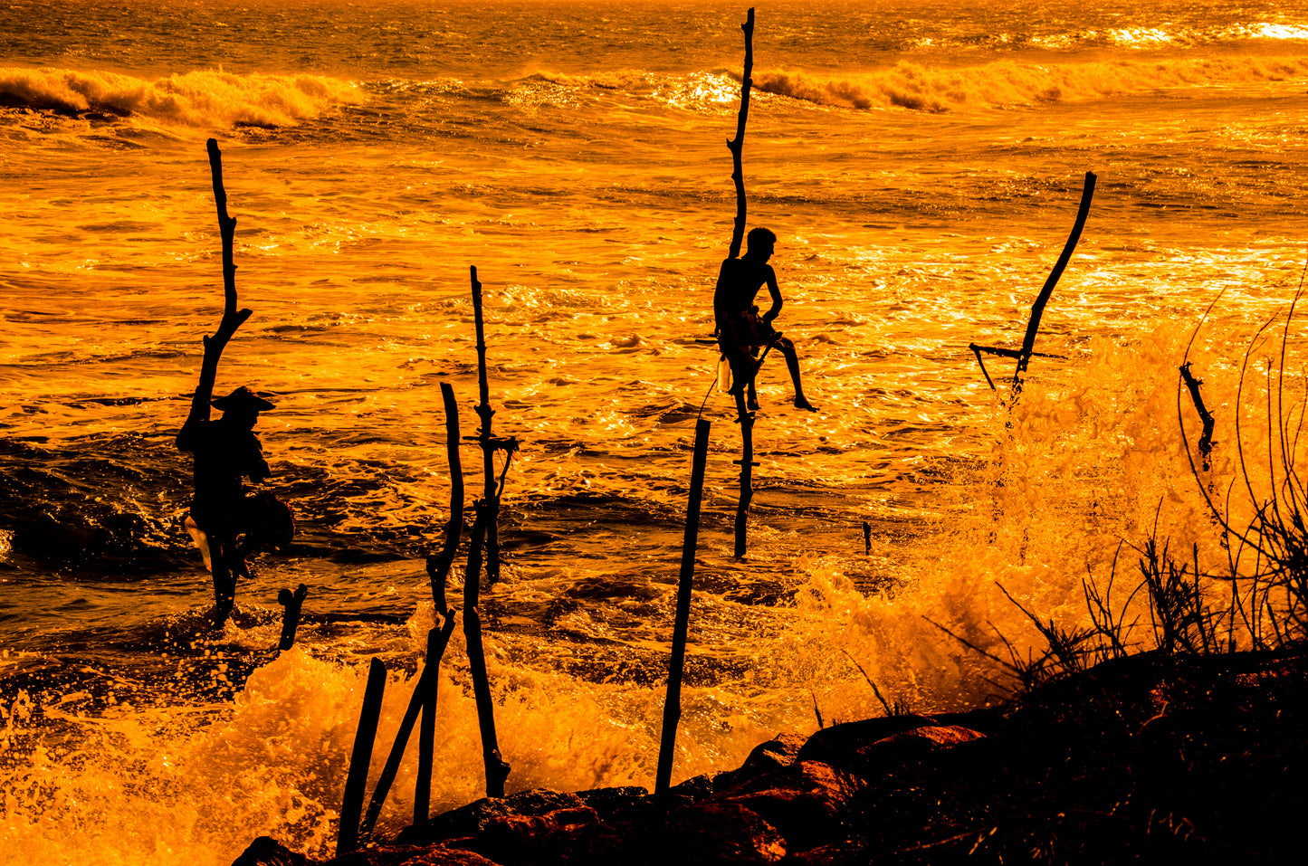 🏝️ Tea Trails to Ocean Tales – Sri Lanka Awaits