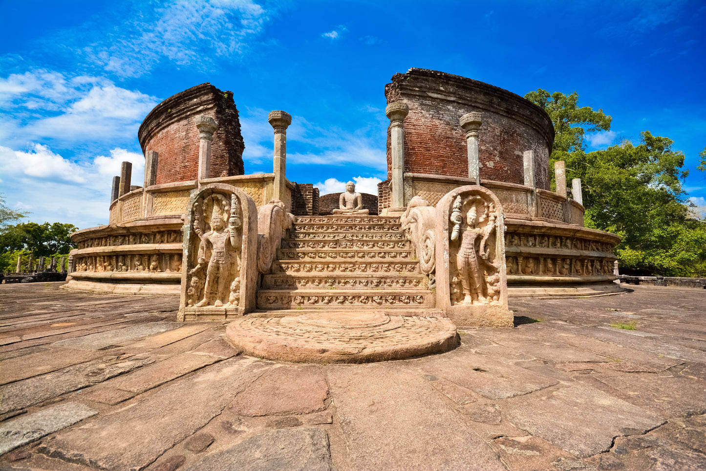 🏝️ Tea Trails to Ocean Tales – Sri Lanka Awaits