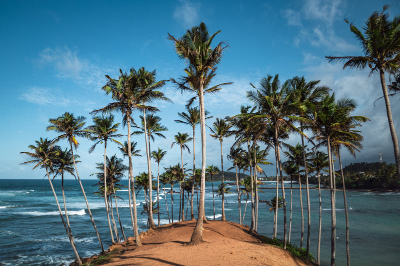 Sri Lanka